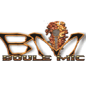 Boule Mic için avatar