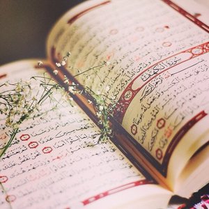 Al Quran 的头像