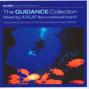 Muzik: The Guidance Collection