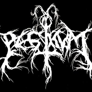 Pesticum 的头像