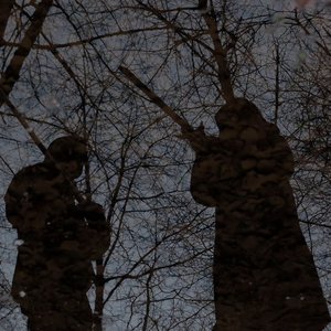 Avatar for Liljevars Brann