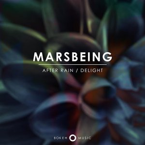 After Rain / Delight