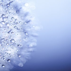 Concepts and Sounds 的头像