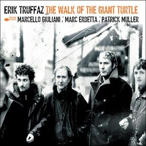 The Walk Of The Giant Turtle