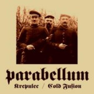 “Krepulec / Cold Fusion”的封面