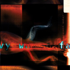 Translucent Amber cover