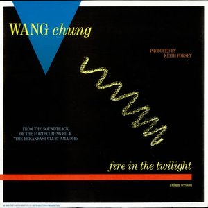 WANG CHUNG - Fire In The Twilight - Zortam Music
