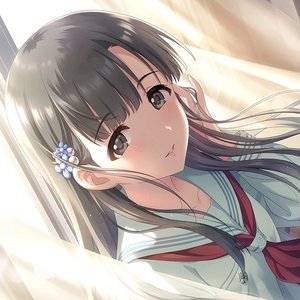Avatar for Sae Kobayakawa