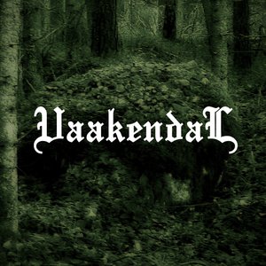 Vaakendal 的头像
