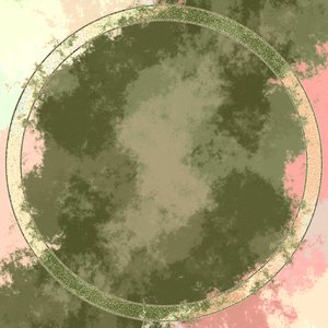 Lichenography II