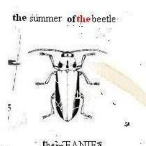 Summer Of the Beetle EP