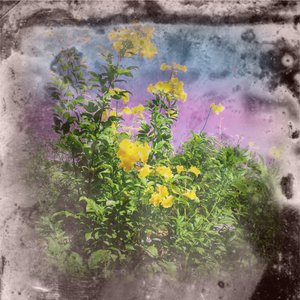 Recurrence