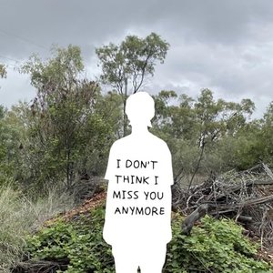 i don't think i miss you anymore (revisited)