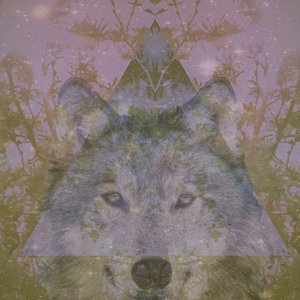 Avatar for Wolf Catcher