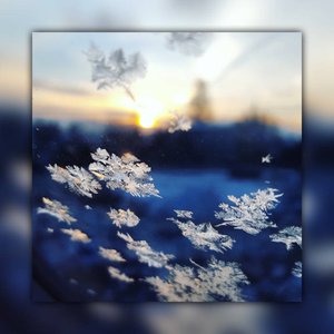 Whispers from the Snow