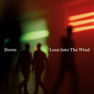 Lean Into The Wind - Single