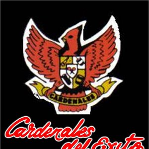 Avatar for Cardenales del Éxito