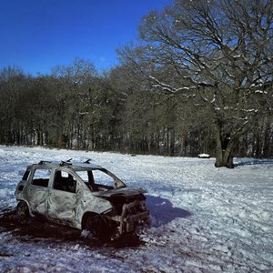 Half Alive - Single