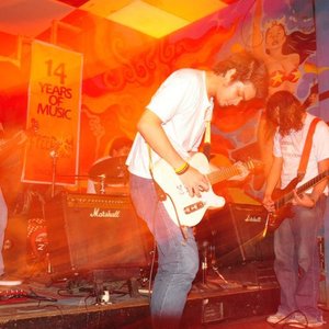 Anton and the Salvadors 的头像