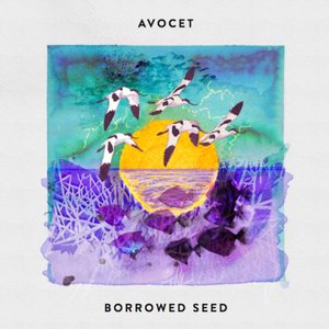 Borrowed Seed