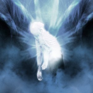 Where Does The Light Get In? - Single