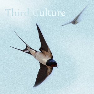Third Culture 的头像