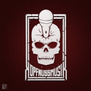 Kopfnussmusik 的头像