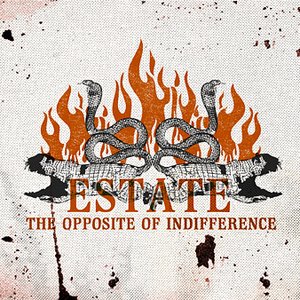 The Opposite Of Indifference