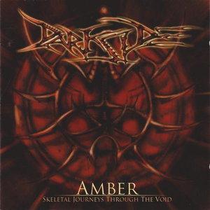 Amber: Skeletal Journeys Through the Void cover