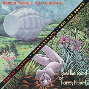 Shangrenade - Feel the Sound of Harvey Mandel