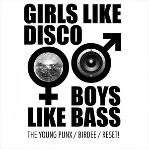 Girls Like Disco Boys Like Bass