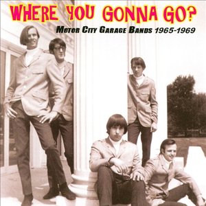 Where You Gonna Go? (Motor City Garage Bands 1965-1969)