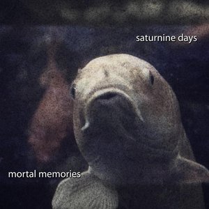 saturnine days