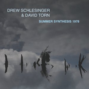 Drew Schlesinger & David Torn 的头像