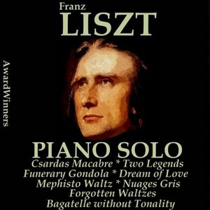 Liszt, Vol. 6 : Piano Solo (AwardWinners)