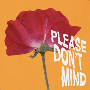 Please Don't Mind