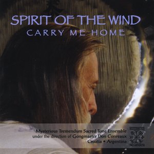 “Spirit of the Wind, carry me home”的封面