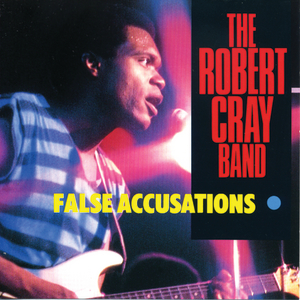 False Accusations cover