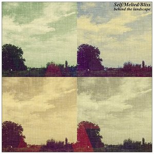 SelfMeltedBliss 的头像
