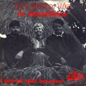 Het Börker Trio 的头像