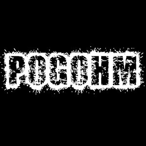 Pogohm 的头像