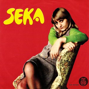 Immagine per 'Seka Kojadinović'