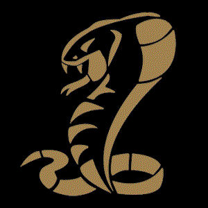 Cobra Jet 的头像