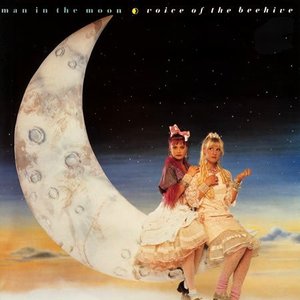 Man In The Moon