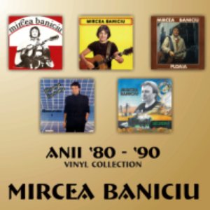 Anii 80-90 - Vinyl Collection ('80s -'90s - Vinyl Collection)