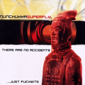 There Are No Accidents…Just Fuckwits