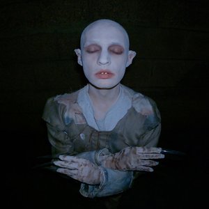 Into the Night - Single