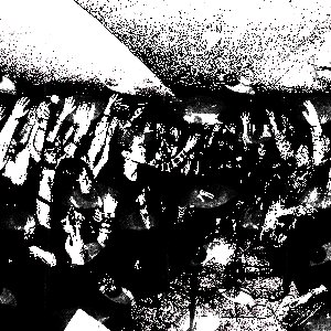 tilapayaso 的头像