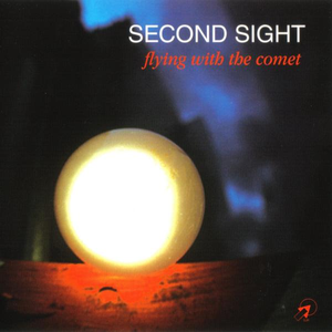 Flying With The Comet