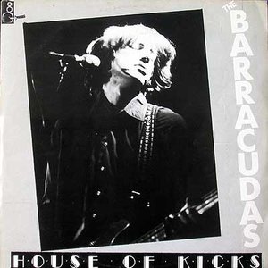 House Of Kicks